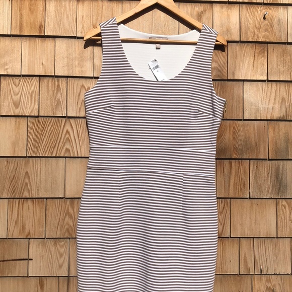 Banana Republic Dresses & Skirts - Banana Republic | Sleeveless Ribbed Career Dress
